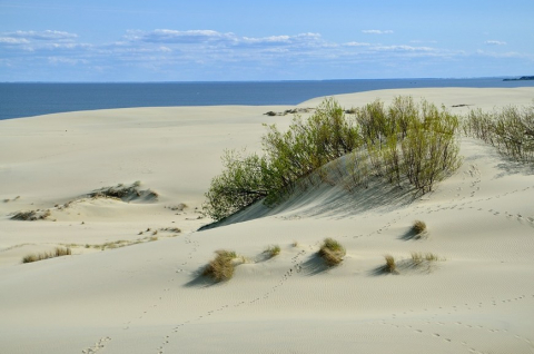 изображение_2023-08-12_005024353