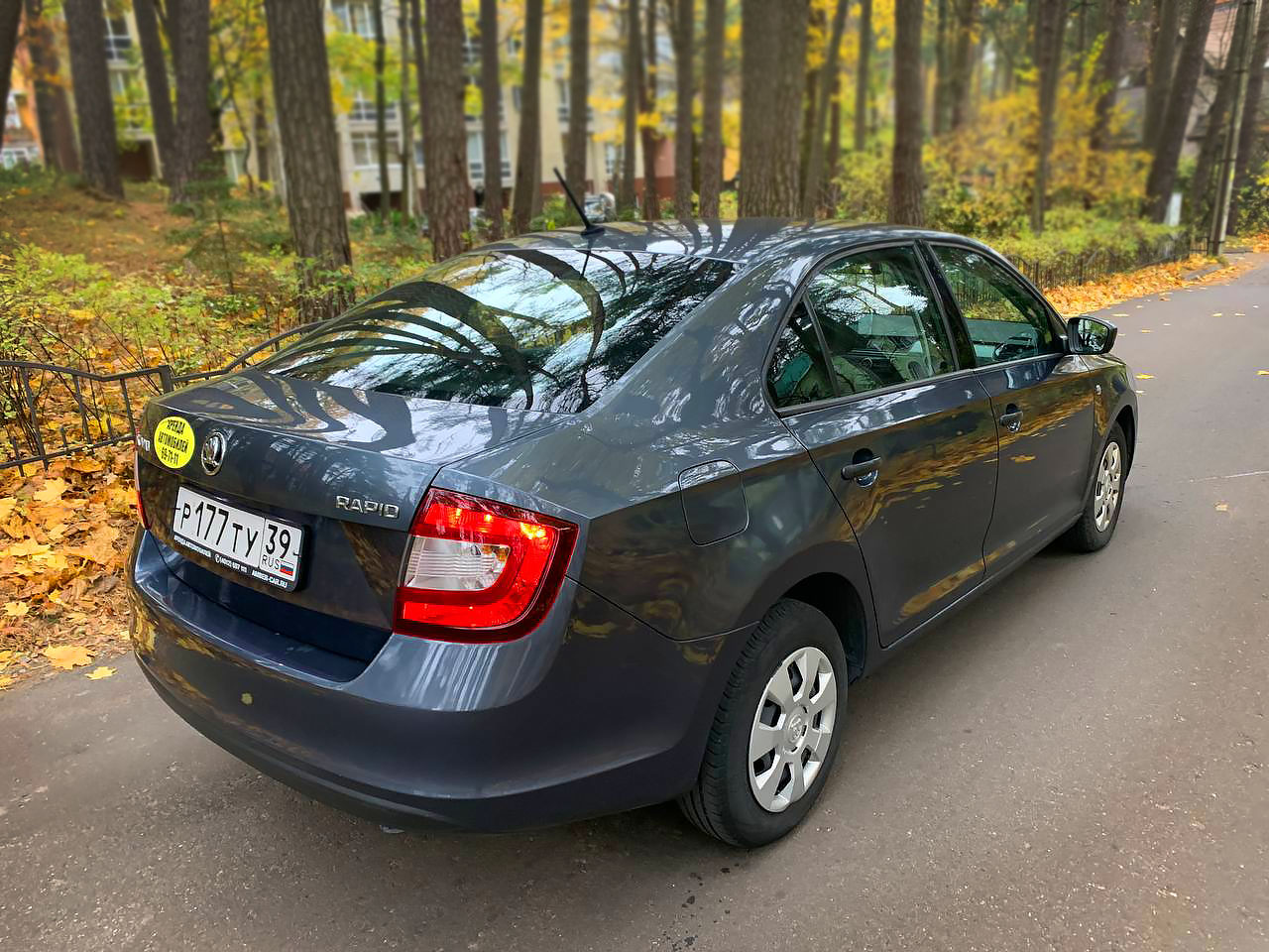 Машина Skoda Rapid '19    эконом